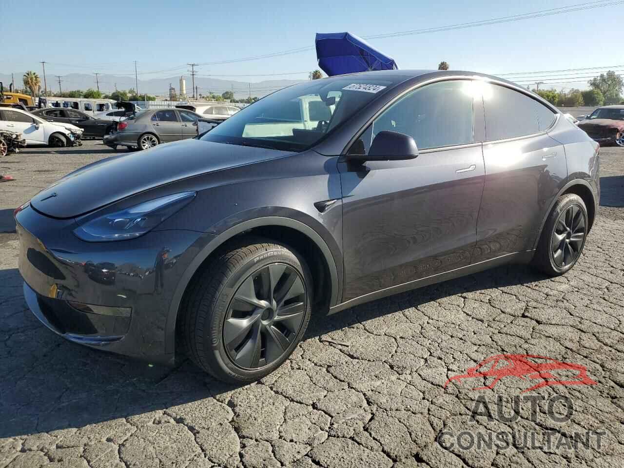 TESLA MODEL Y 2024 - 7SAYGDED1RF121025