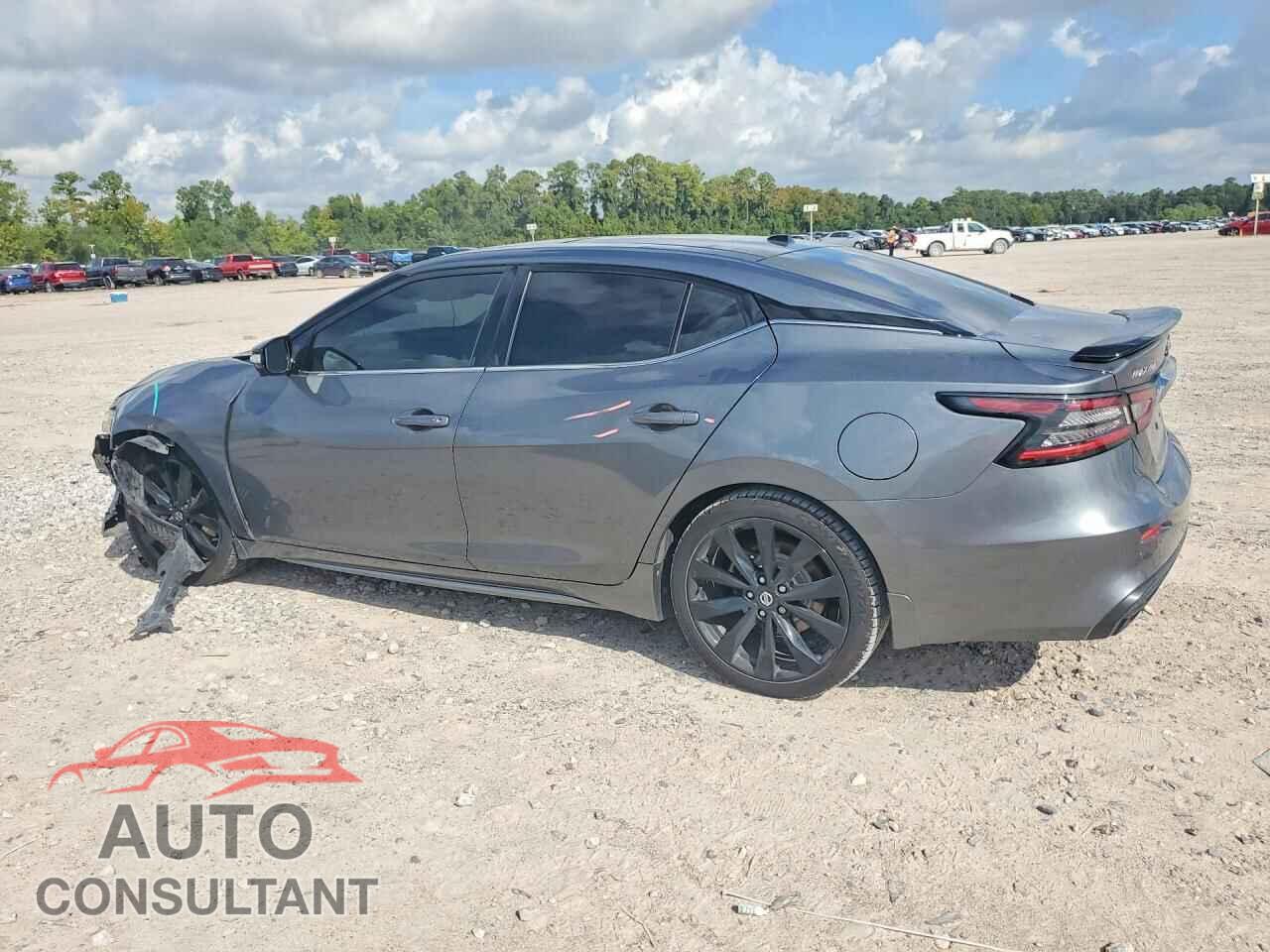 NISSAN MAXIMA 2019 - 1N4AA6AV3KC382532