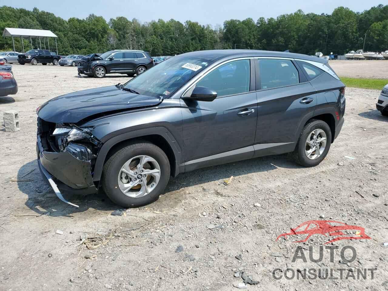 HYUNDAI TUCSON 2024 - 5NMJACDEXRH346207