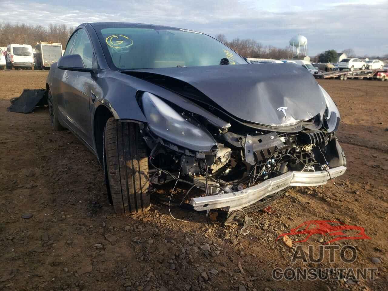 TESLA MODEL 3 2021 - 5YJ3E1EC2MF981141