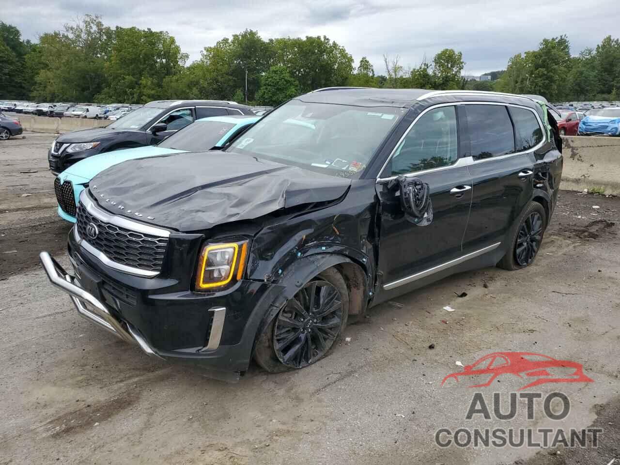 KIA TELLURIDE 2020 - 5XYP5DHC4LG050176