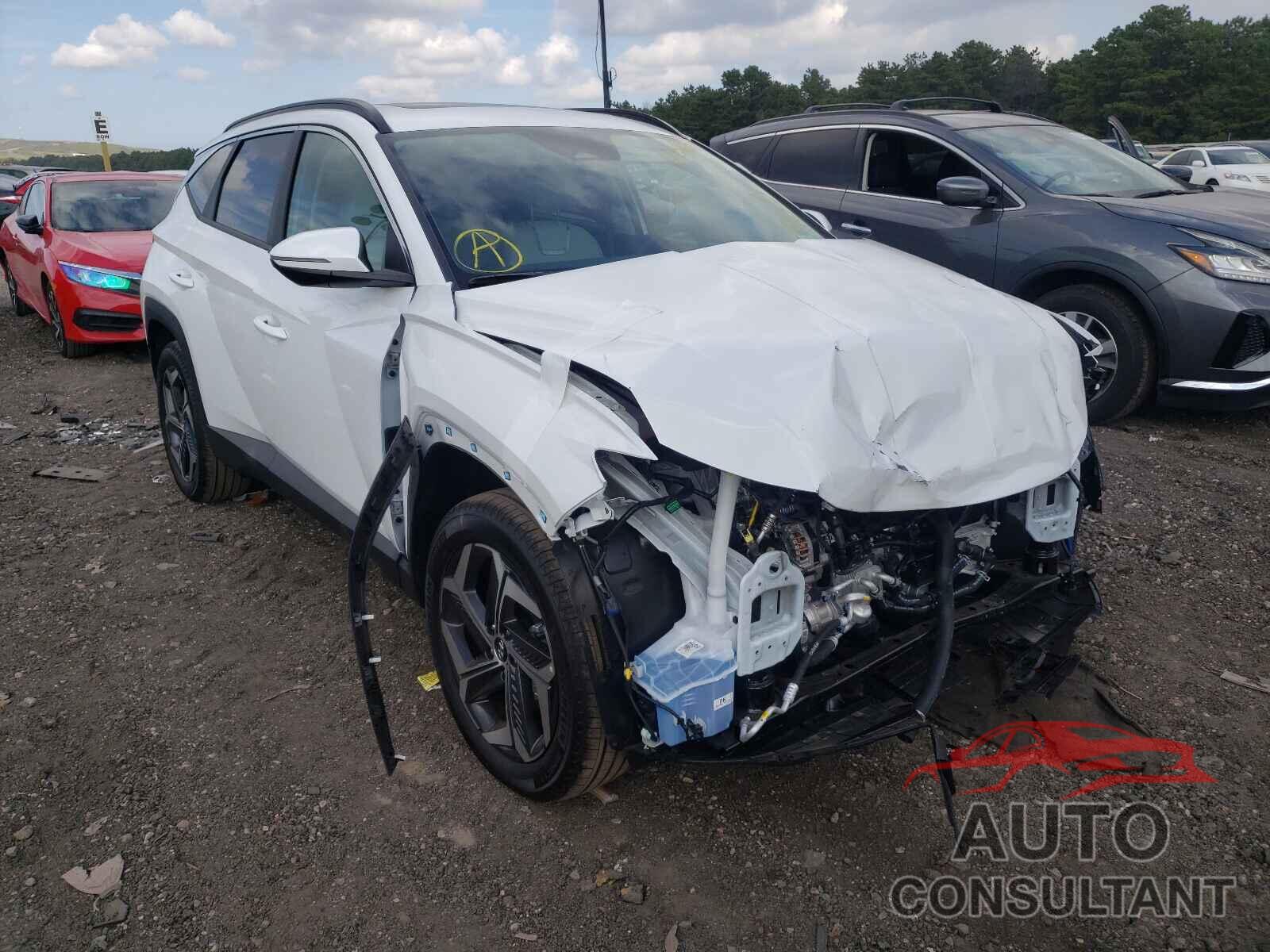 HYUNDAI TUCSON 2022 - 5NMJCCAEXNH041427