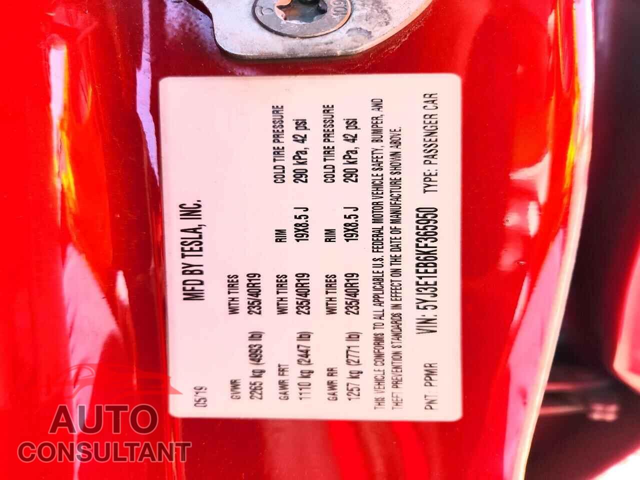TESLA MODEL 3 2019 - 5YJ3E1EB6KF365950