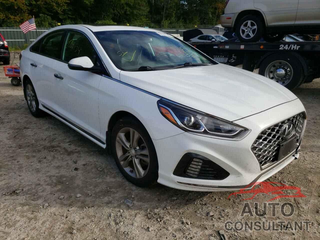 HYUNDAI SONATA 2019 - 5NPE34AF0KH810936