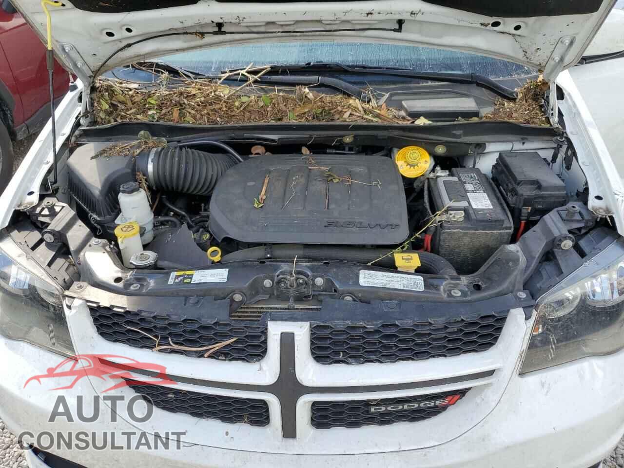 DODGE CARAVAN 2019 - 2C4RDGEG3KR571114