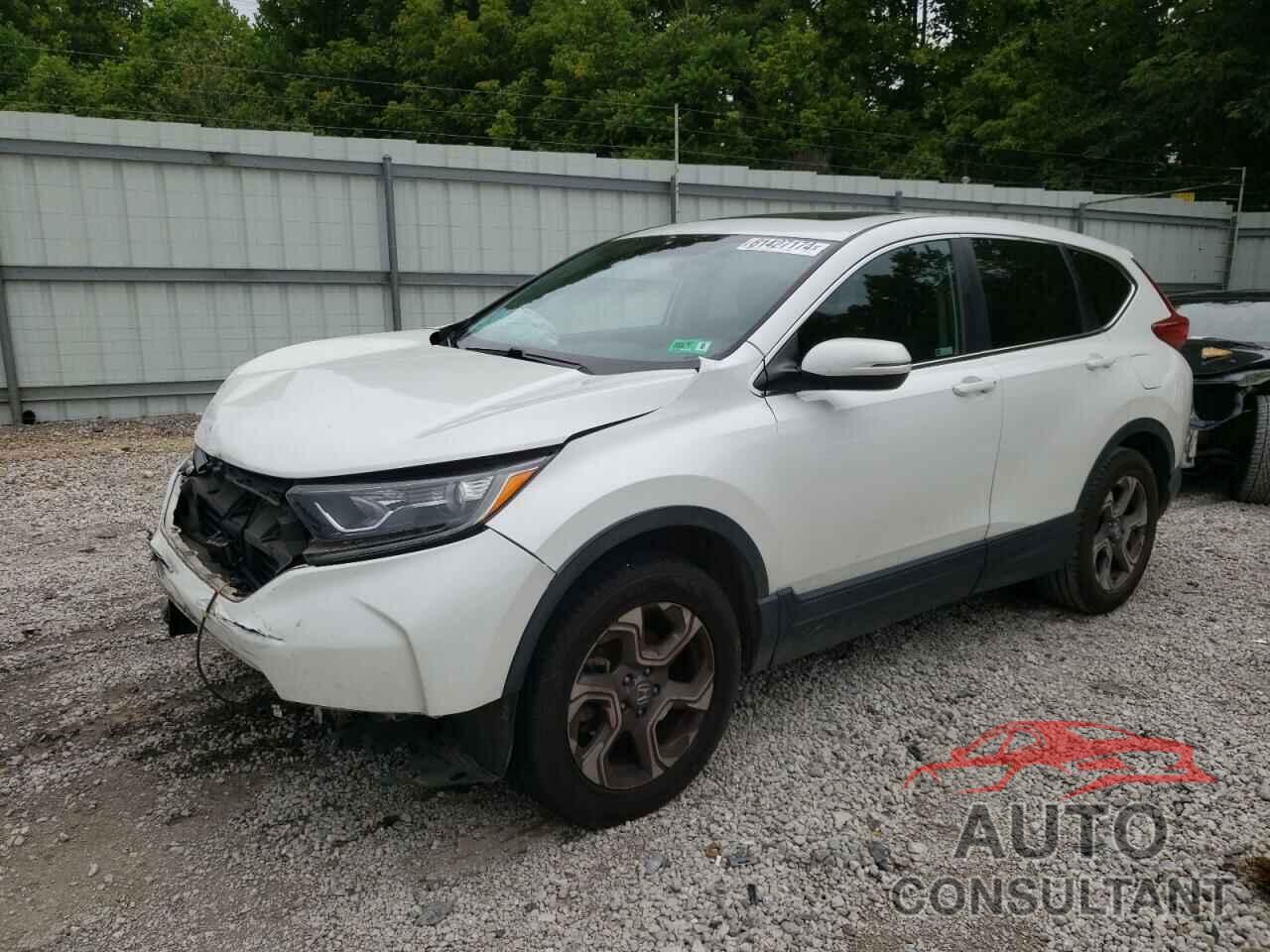 HONDA CRV 2019 - 2HKRW2H81KH658685