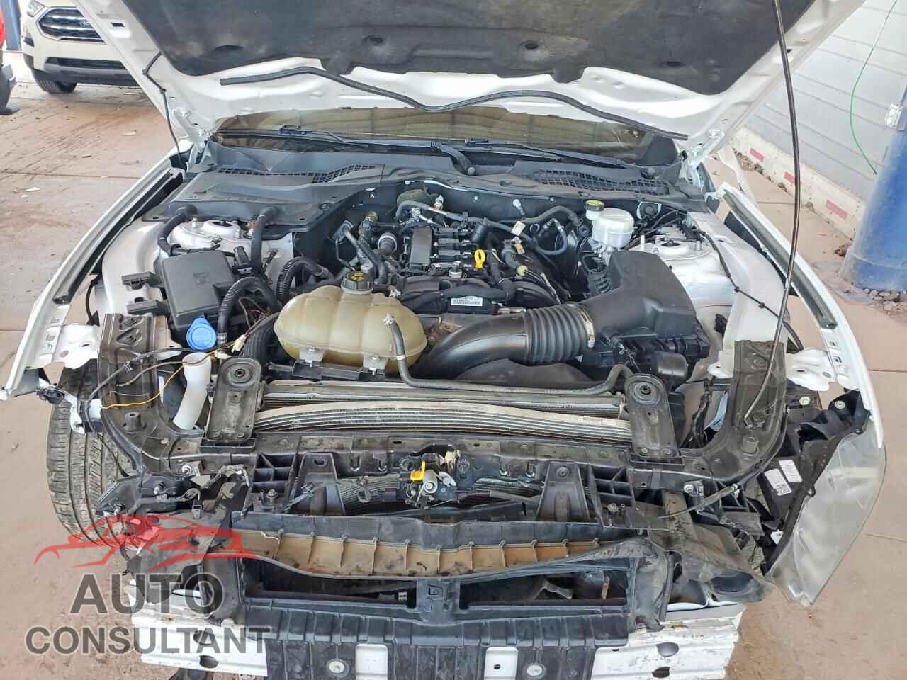 FORD MUSTANG 2021 - 1FA6P8TH7M5113447