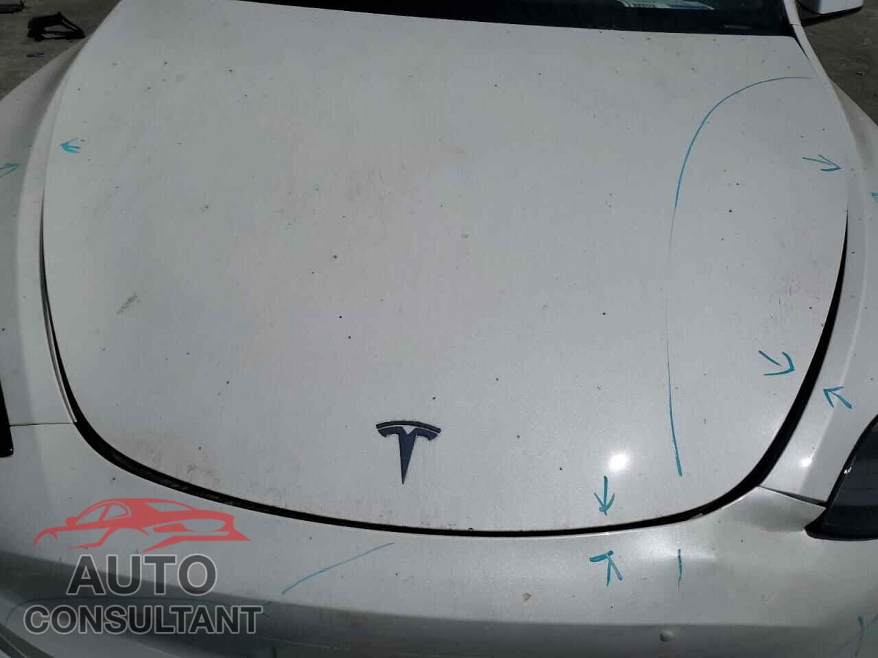 TESLA MODEL Y 2024 - 7SAYGDED3RF095611