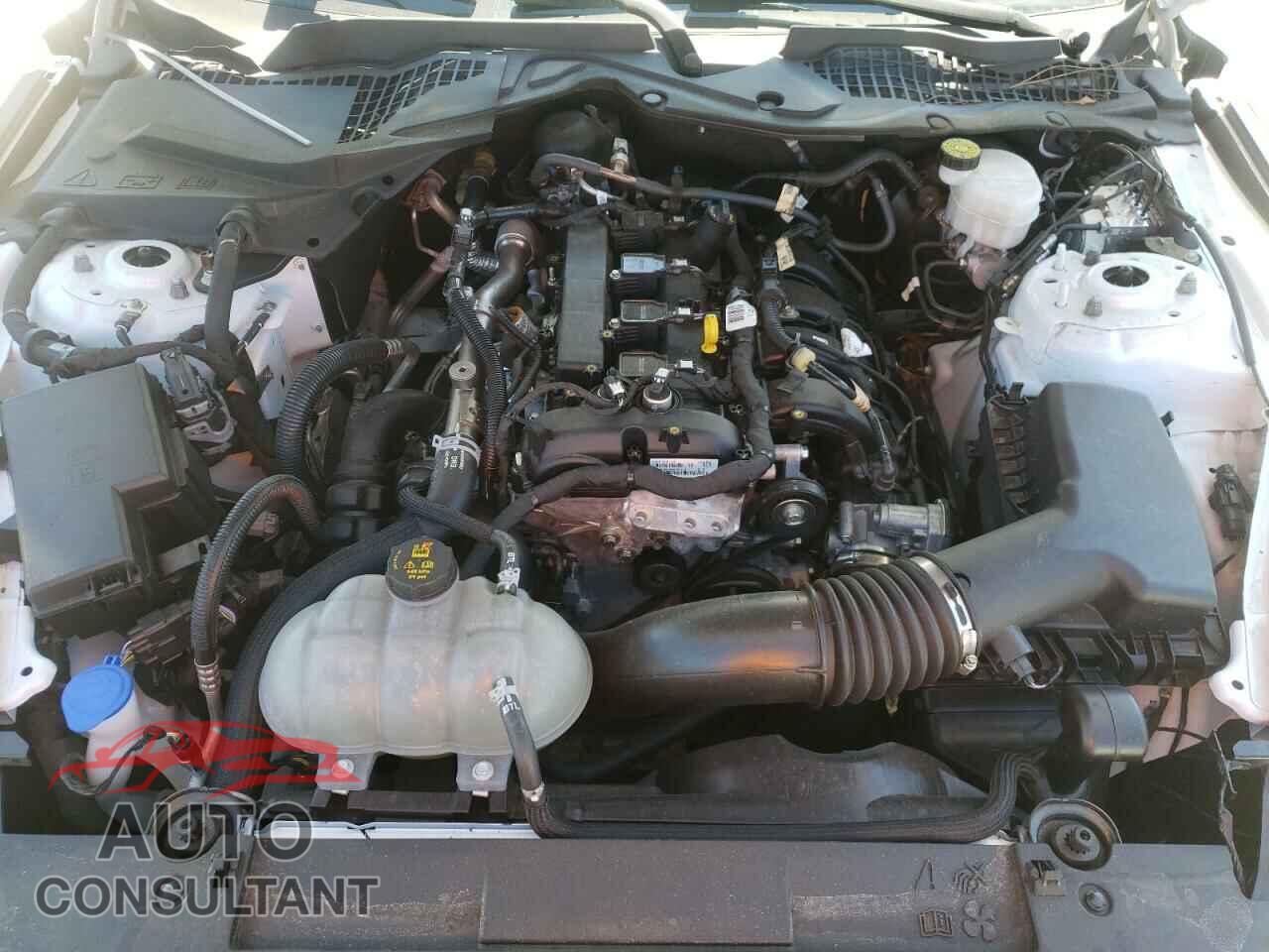 FORD MUSTANG 2022 - 1FA6P8TH4N5101094