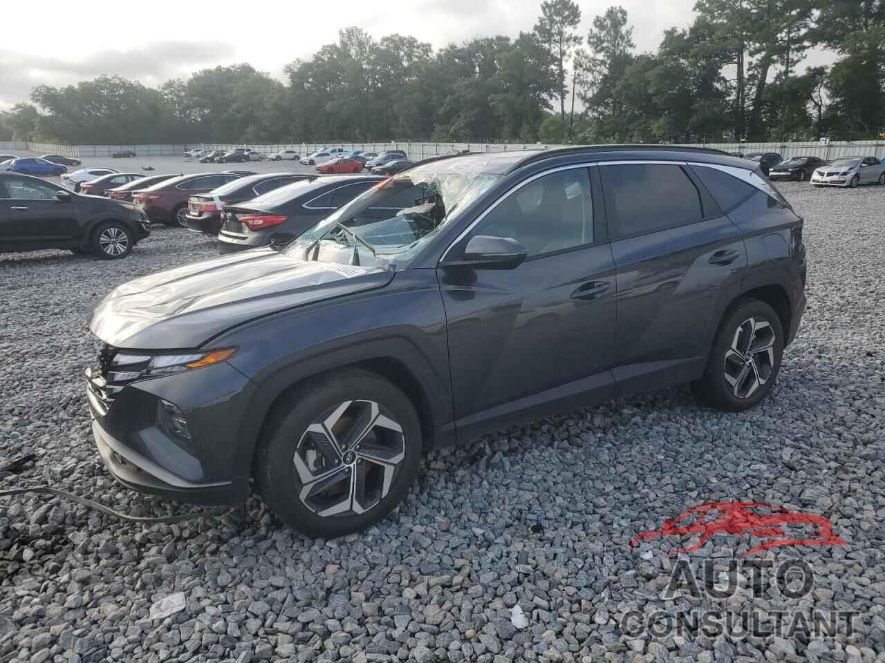 HYUNDAI TUCSON 2024 - 5NMJF3DE3RH326981