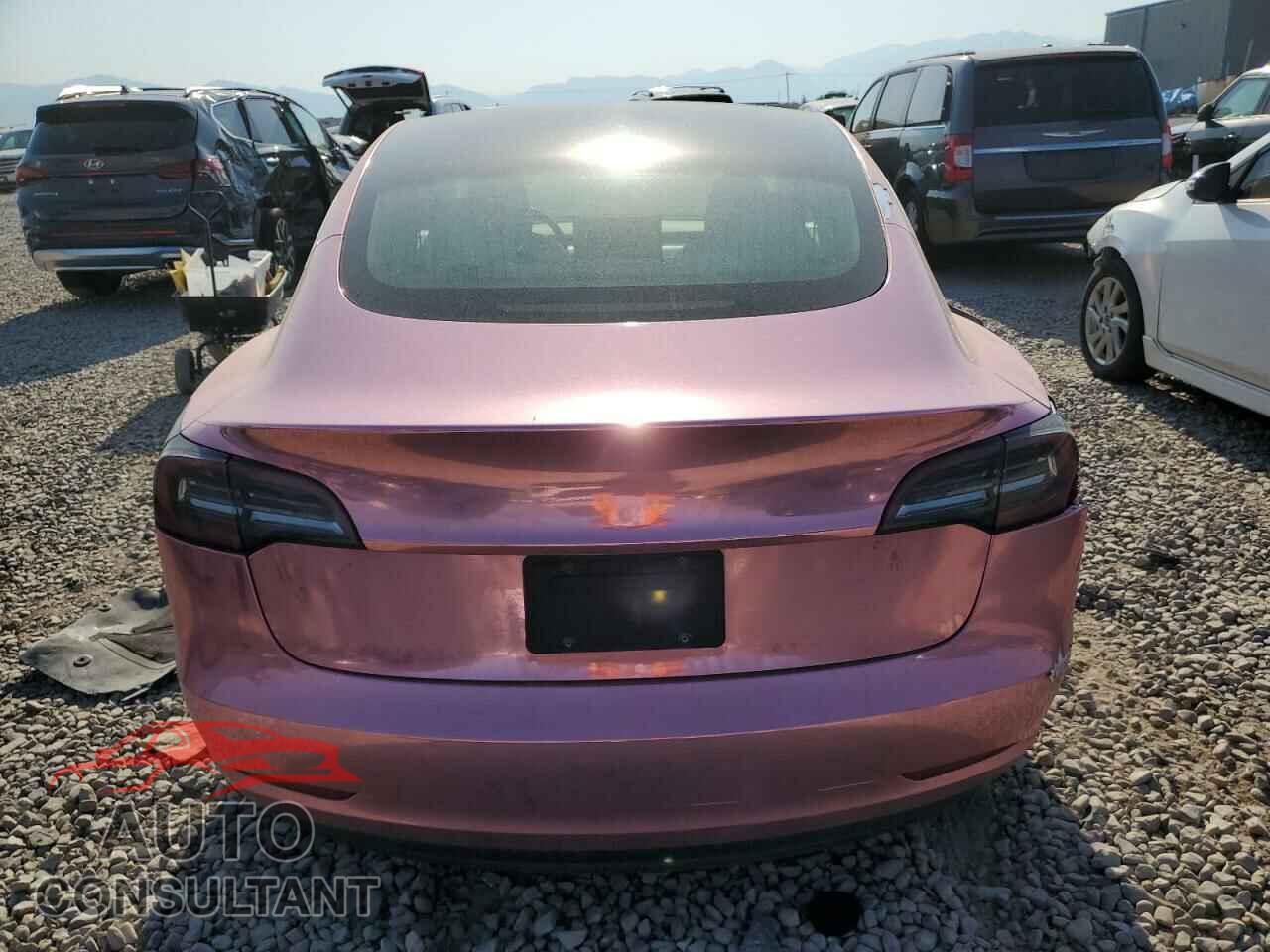 TESLA MODEL 3 2019 - 5YJ3E1EA3KF417705
