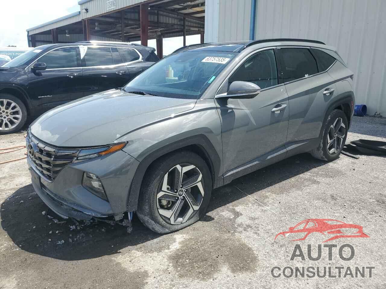 HYUNDAI TUCSON 2024 - 5NMJE3DE5RH330582