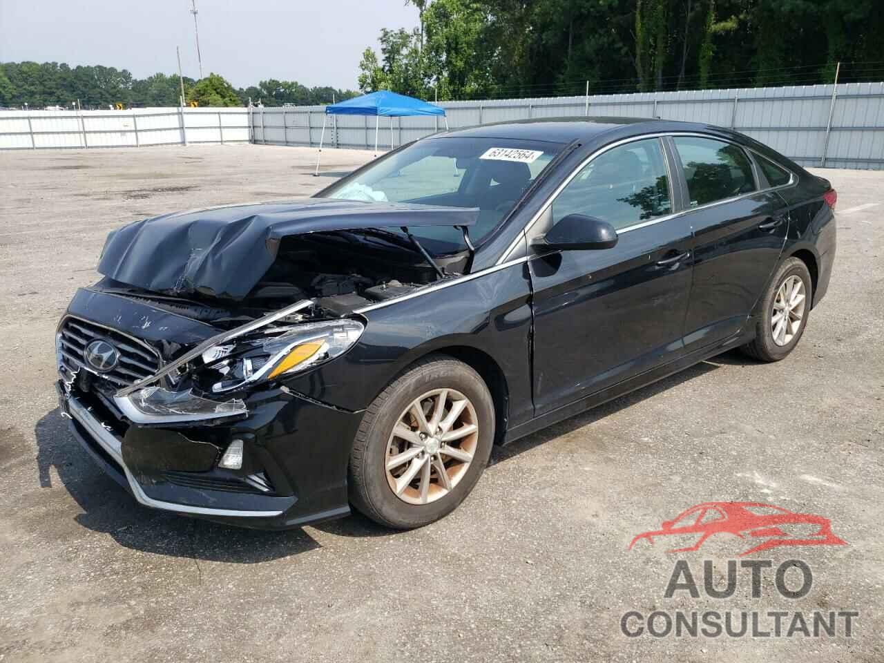 HYUNDAI SONATA 2019 - 5NPE24AF0KH757948