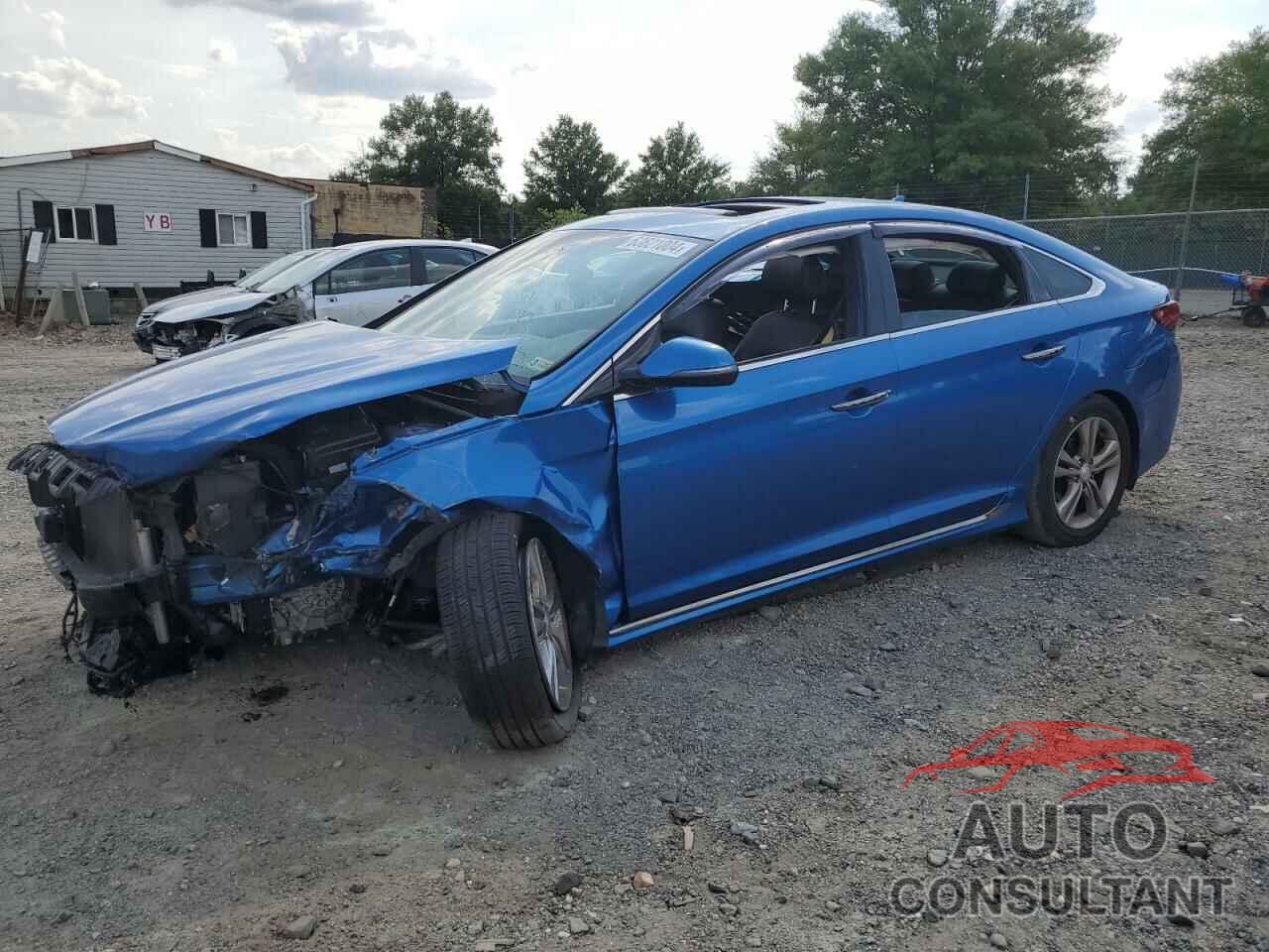 HYUNDAI SONATA 2018 - 5NPE34AF5JH715271