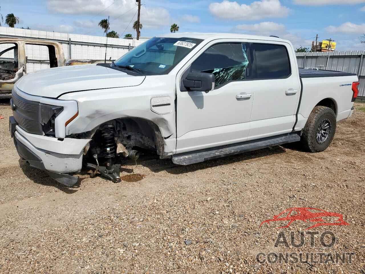 FORD F150 LIGHT 2023 - 1FT6W1EV6PWG35217