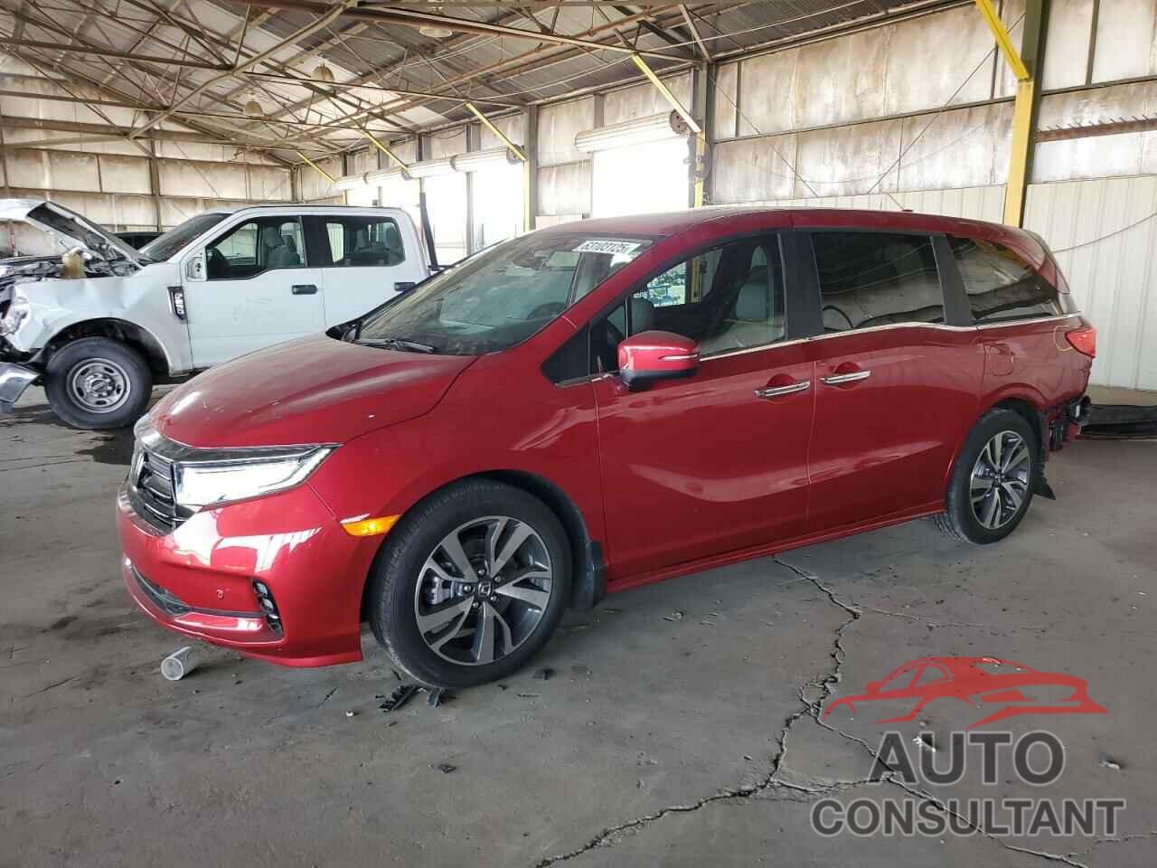 HONDA ODYSSEY 2024 - 5FNRL6H89RB013145