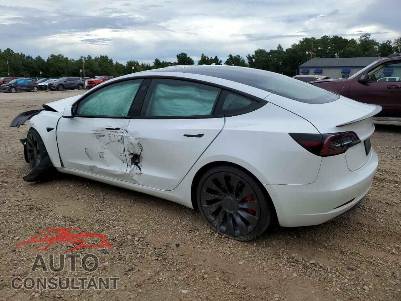 TESLA MODEL 3 2021 - 5YJ3E1EC7MF037030