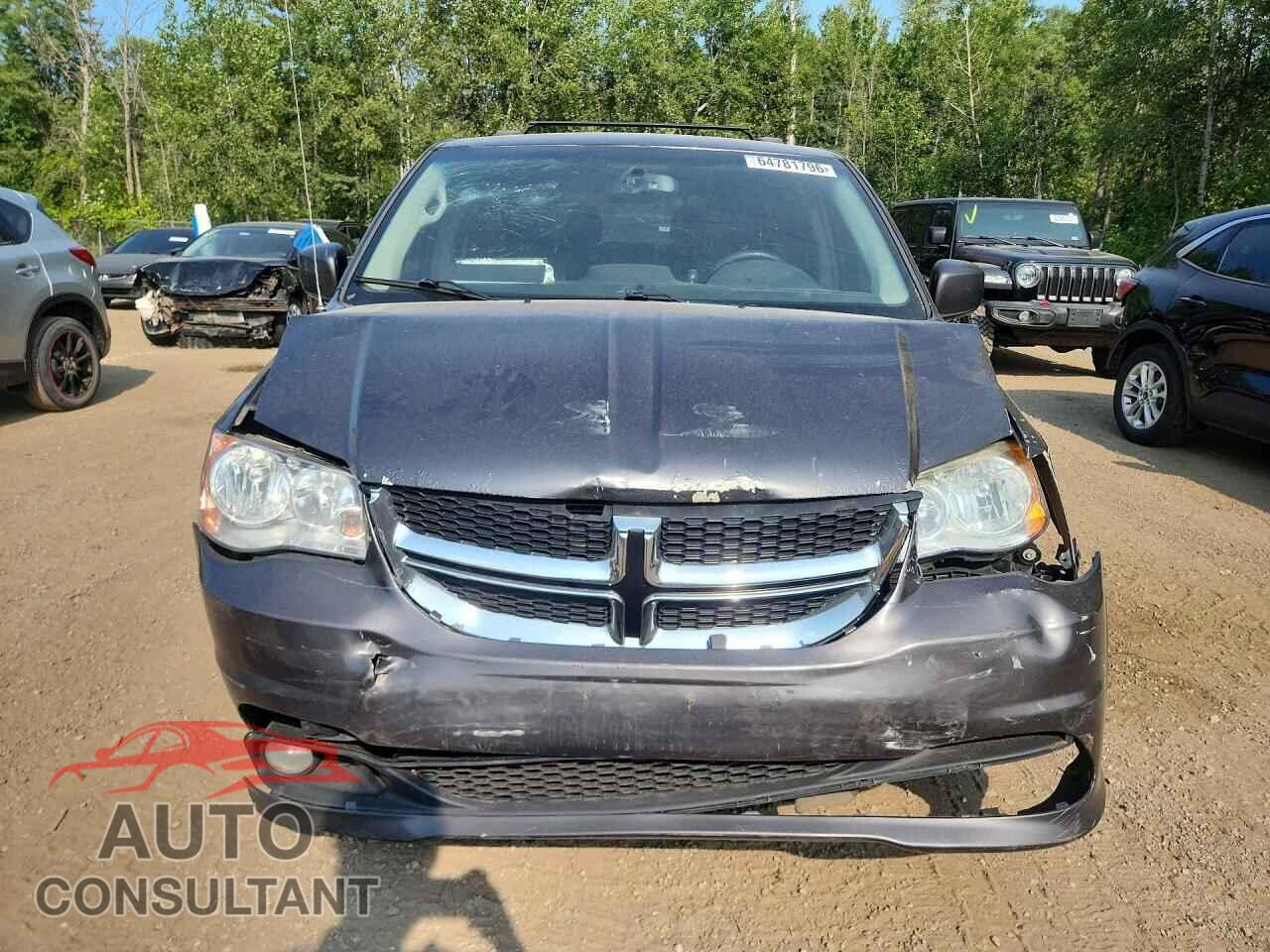 DODGE CARAVAN 2016 - 2C4RDGDG6GR356285