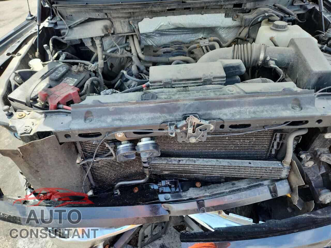 FORD F-150 2011 - 1FTFX1EF1BFB36663