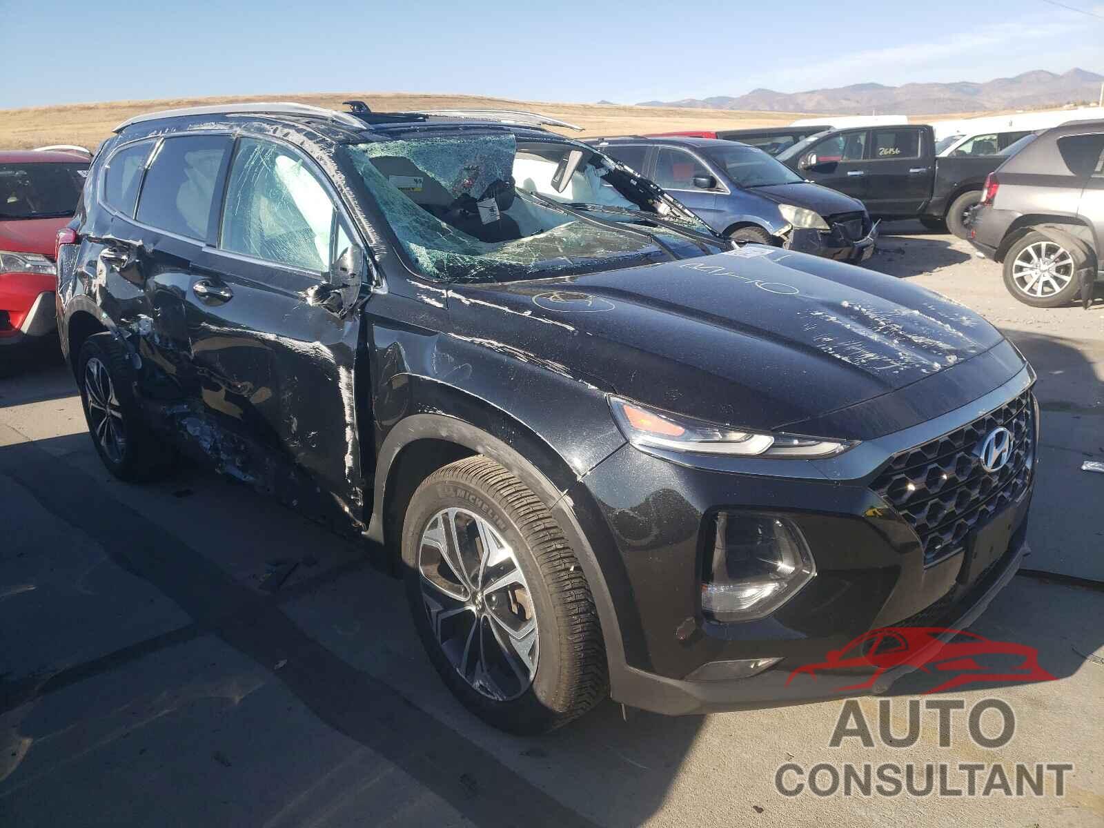 HYUNDAI SANTA FE 2019 - 5NMS5CAA5KH059891