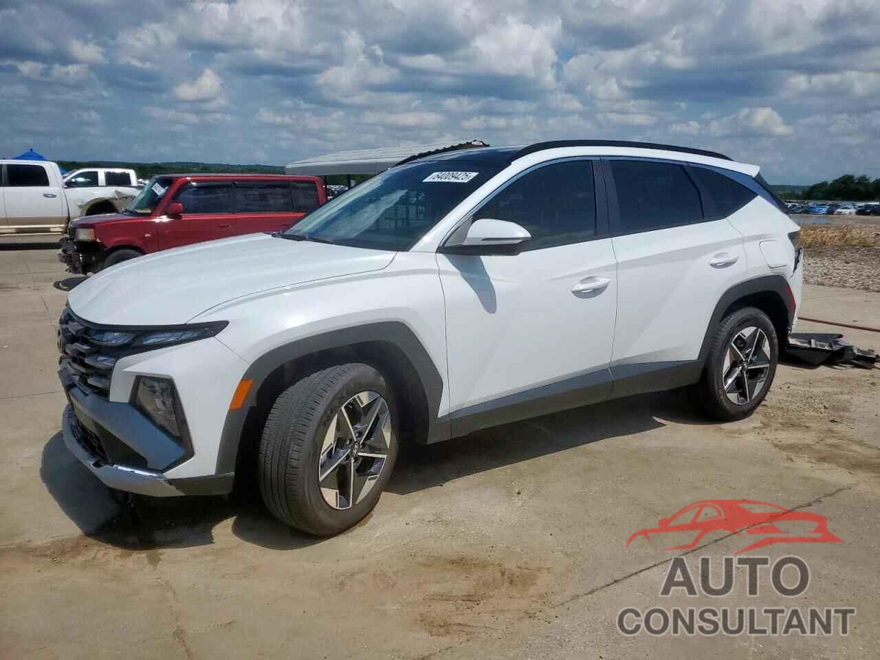HYUNDAI TUCSON 2025 - KM8JCDD18SU296835