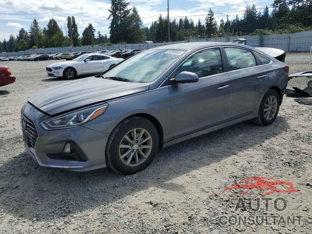 HYUNDAI SONATA 2019 - 5NPE24AF8KH752514