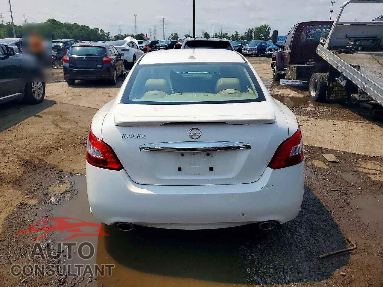 NISSAN MAXIMA 2011 - 1N4AA5AP2BC868955