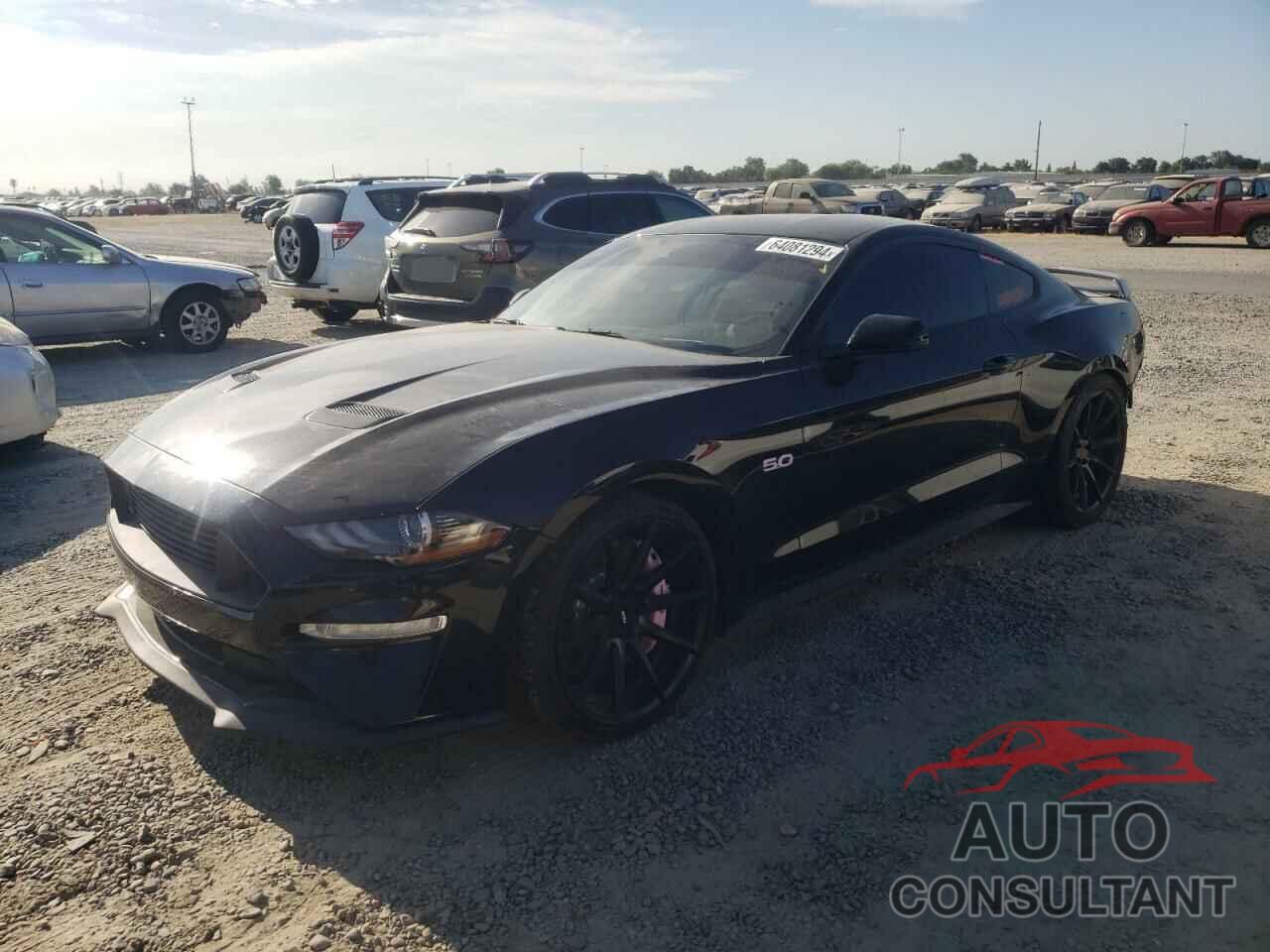 FORD MUSTANG 2019 - 1FA6P8CFXK5175808