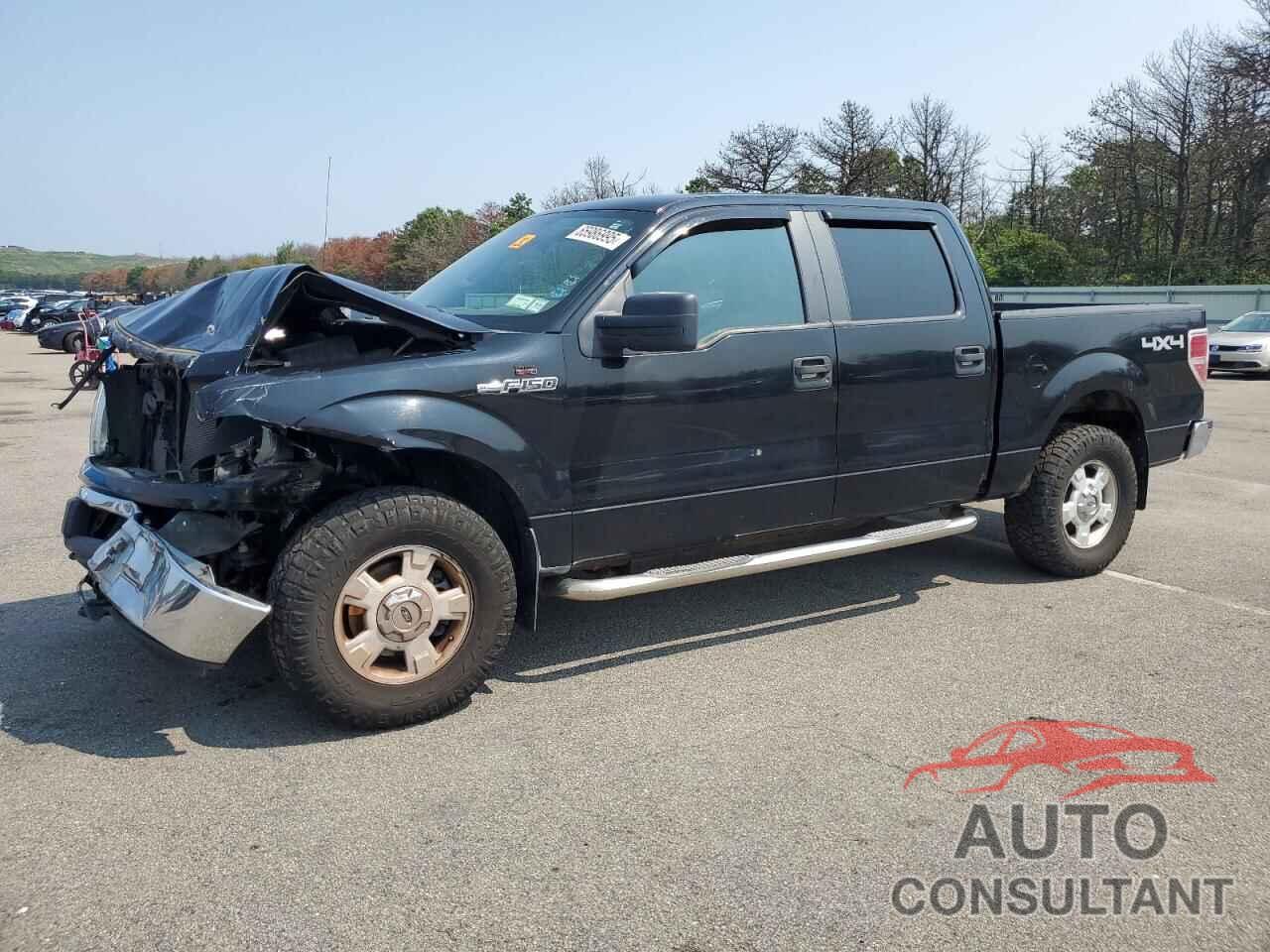 FORD F-150 2009 - 1FTRW14879FA94982