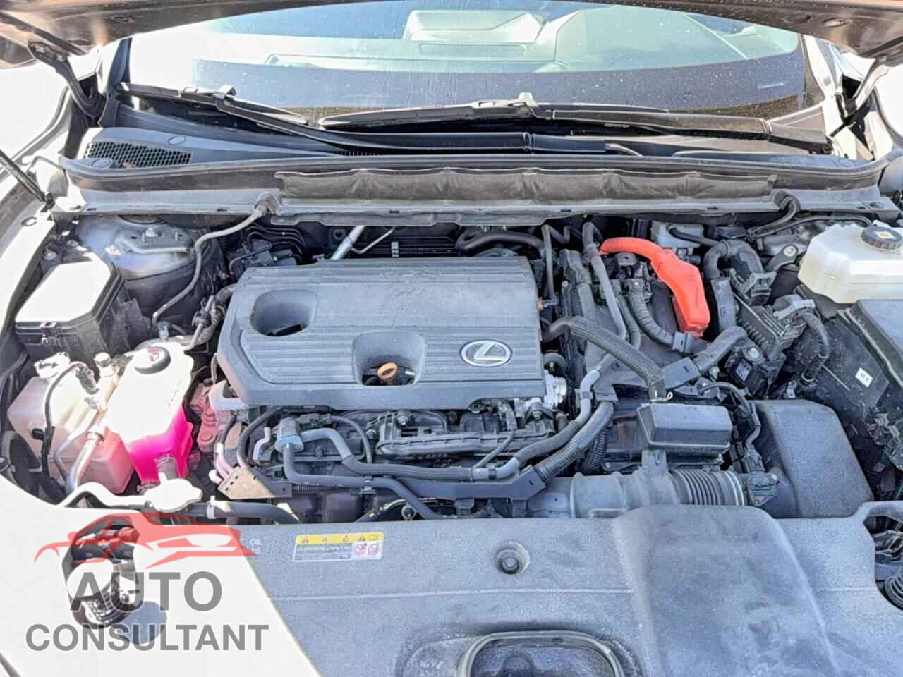 LEXUS RX300 2023 - 2T2BBMCA0PC013339