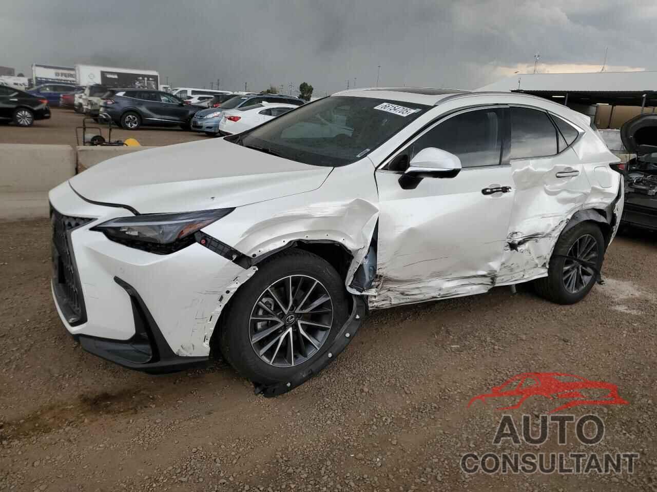 LEXUS NX 350H BA 2025 - JTJGKCEZ2S2043535