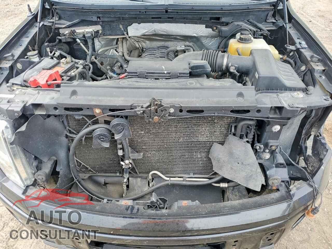 FORD F150 2013 - 1FTFW1EF1DFD25433