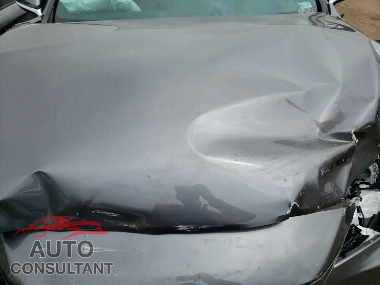 LEXUS RX 350H BA 2023 - 2T2BBMCA7PC017016