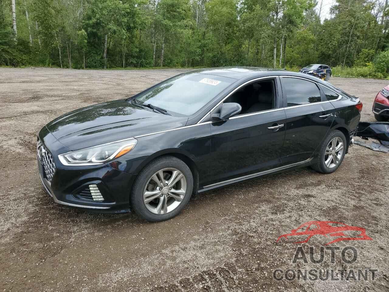 HYUNDAI SONATA 2019 - 5NPE34AF9KH776141