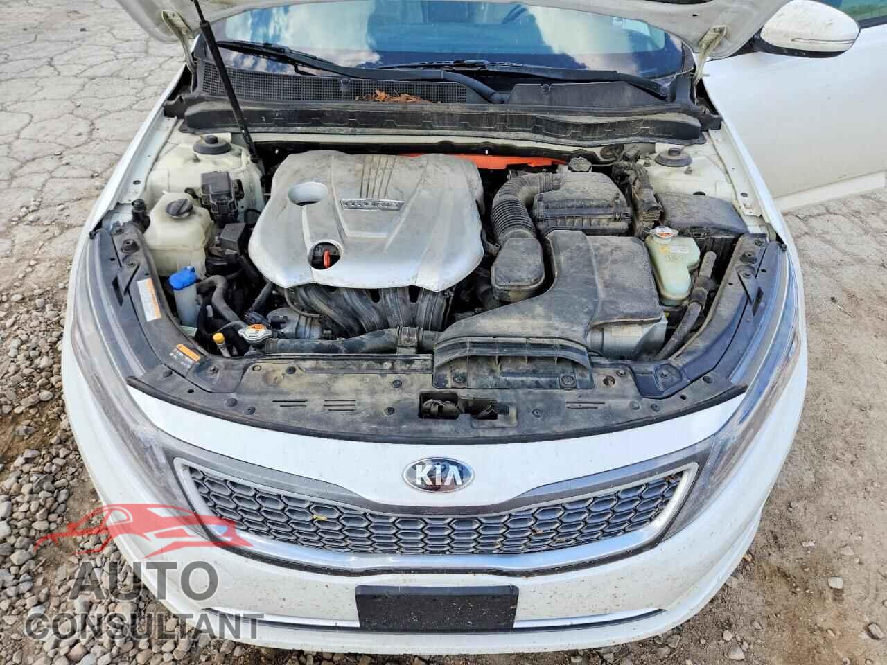 KIA OPTIMA 2014 - KNAGN4AD1E5073202