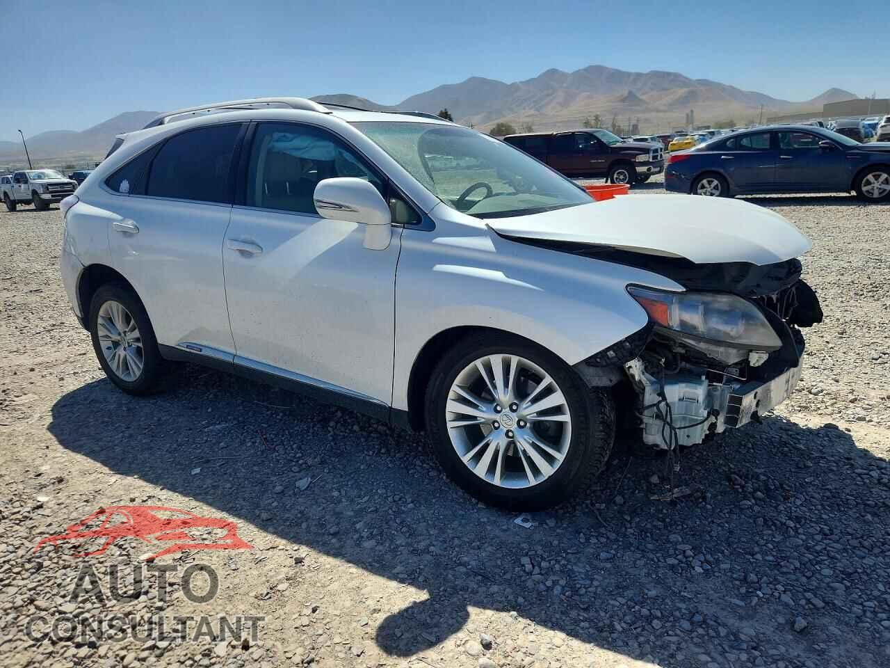 LEXUS RX450 2011 - JTJBC1BA2B2419077