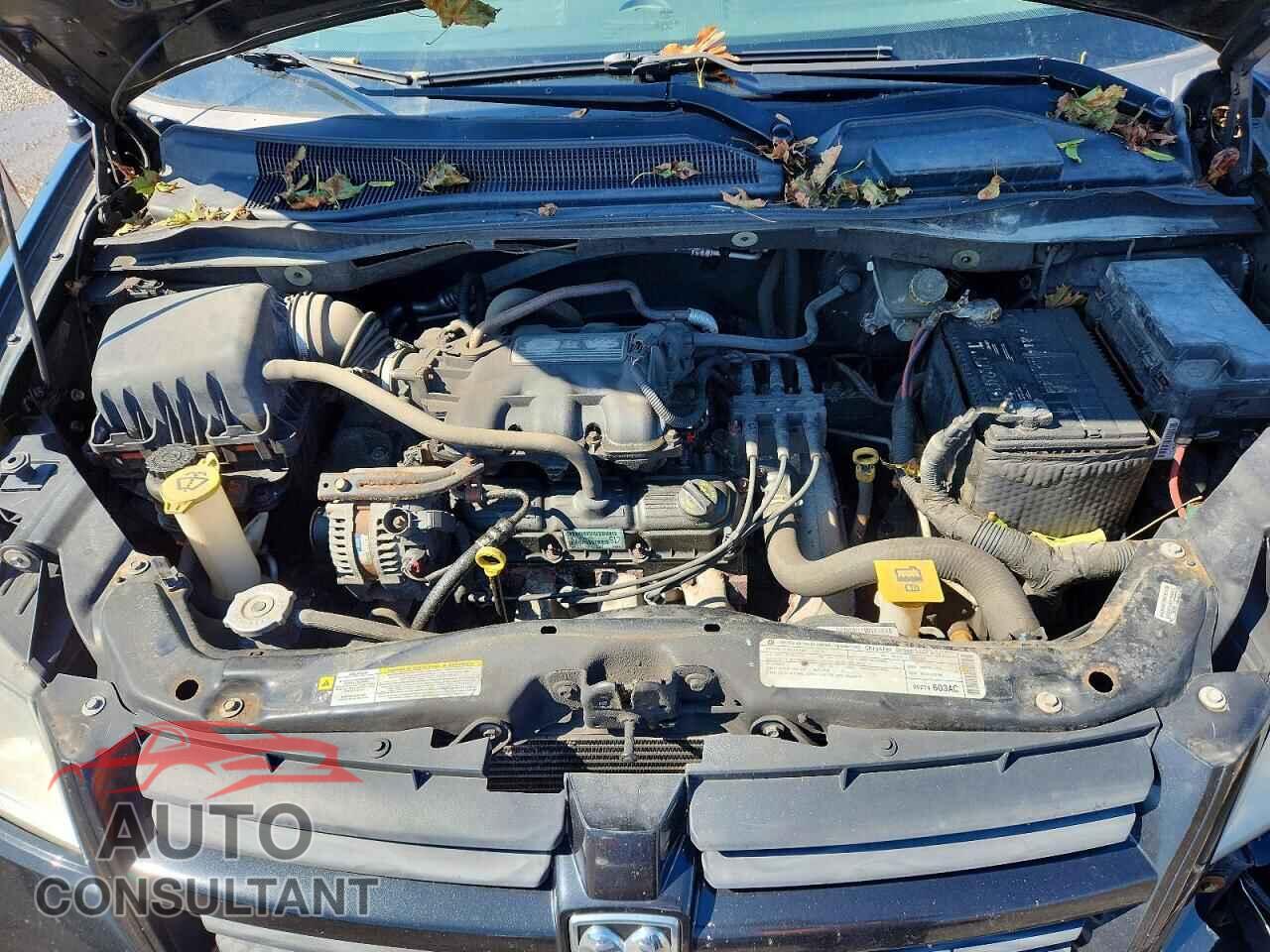DODGE CARAVAN 2009 - 2D8HN44E09R699264