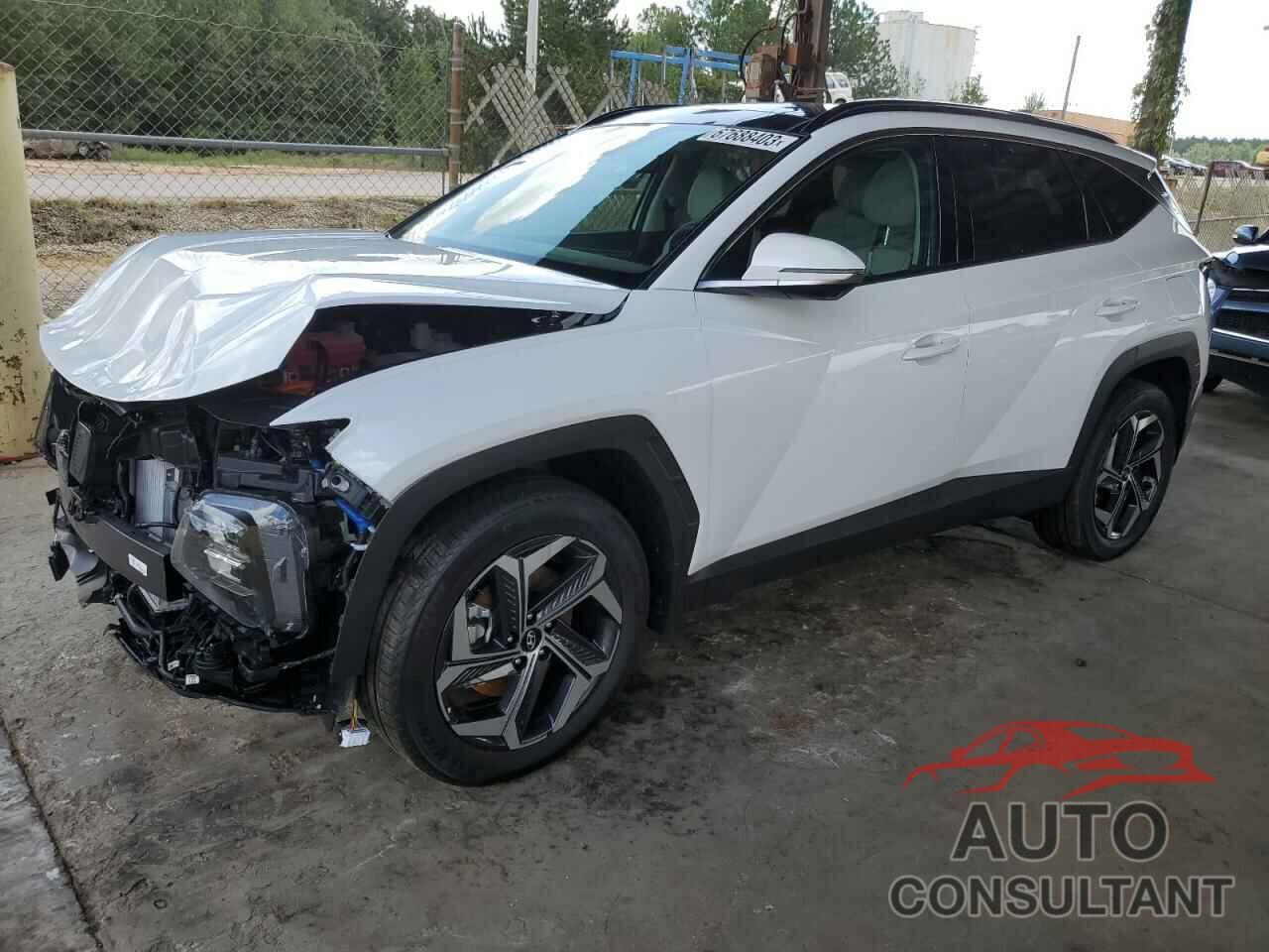 HYUNDAI TUCSON 2024 - KM8JECD15RU140010