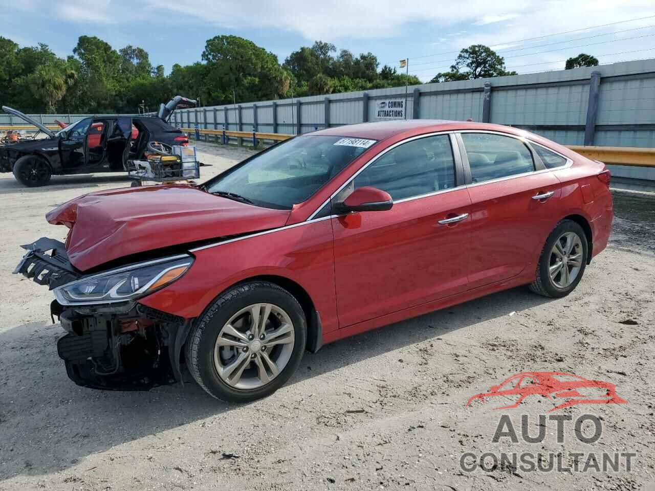 HYUNDAI SONATA 2019 - 5NPE34AF2KH737293