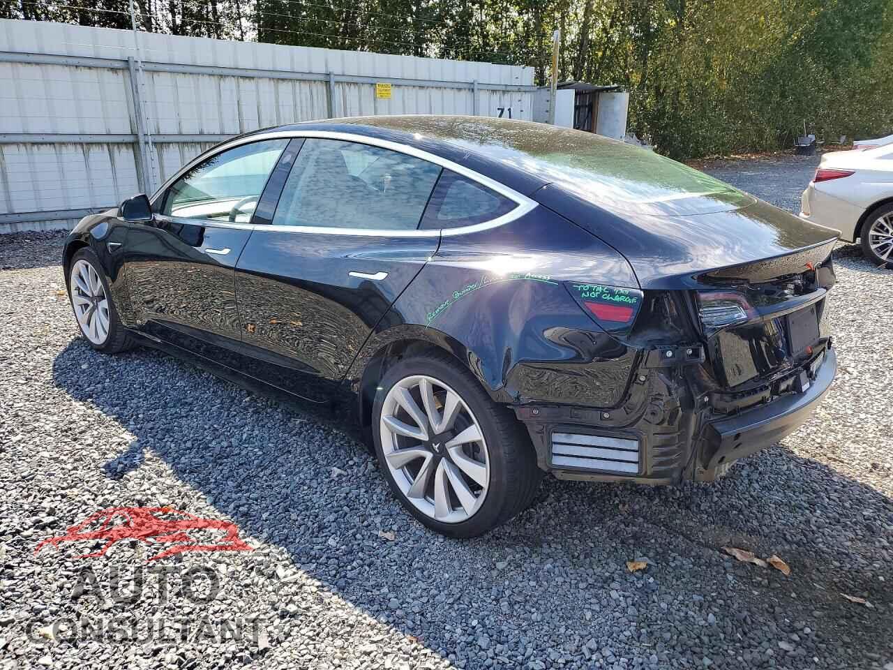 TESLA MODEL 3 2019 - 5YJ3E1EB9KF189363