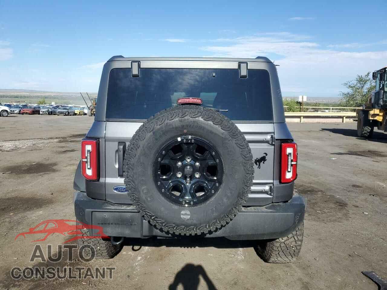 FORD BRONCO WIL 2024 - 1FMEE2BPXRLA12855