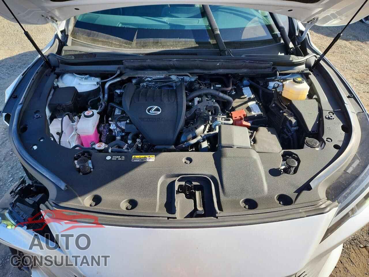 LEXUS RX350 2024 - 2T2BAMBA7RC031537