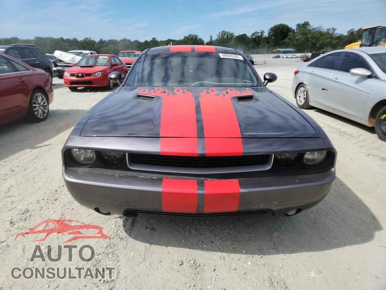 DODGE CHALLENGER 2013 - 2C3CDYAG2DH641507