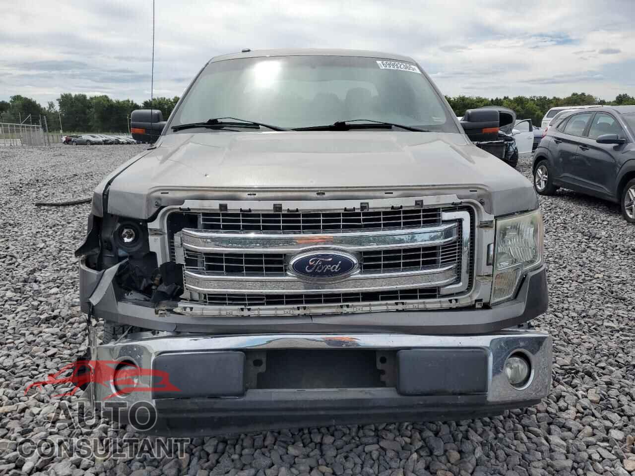 FORD F-150 2013 - 1FTEX1CM0DFD17821