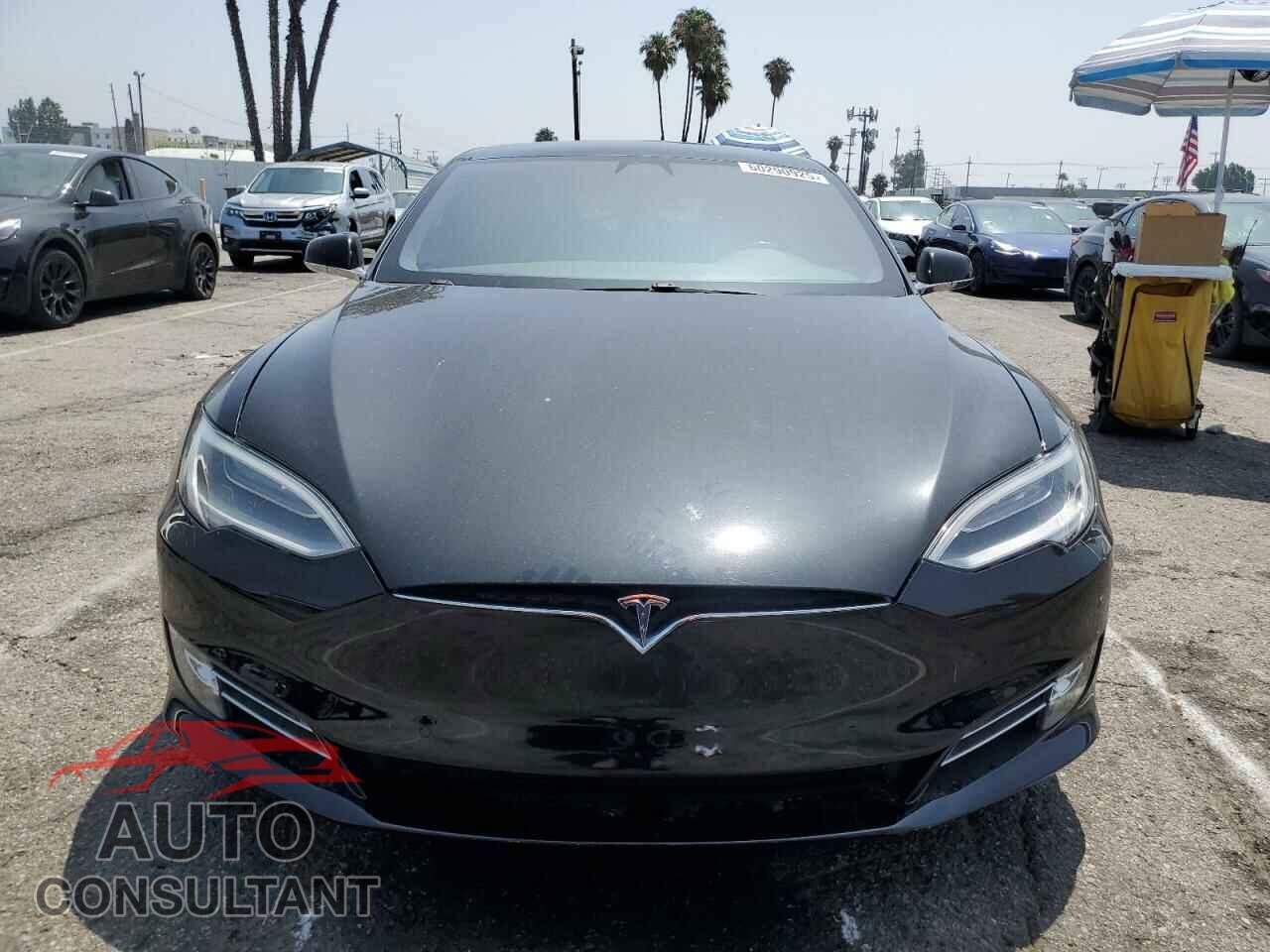 TESLA MODEL S 2019 - 5YJSA1E29KF348065