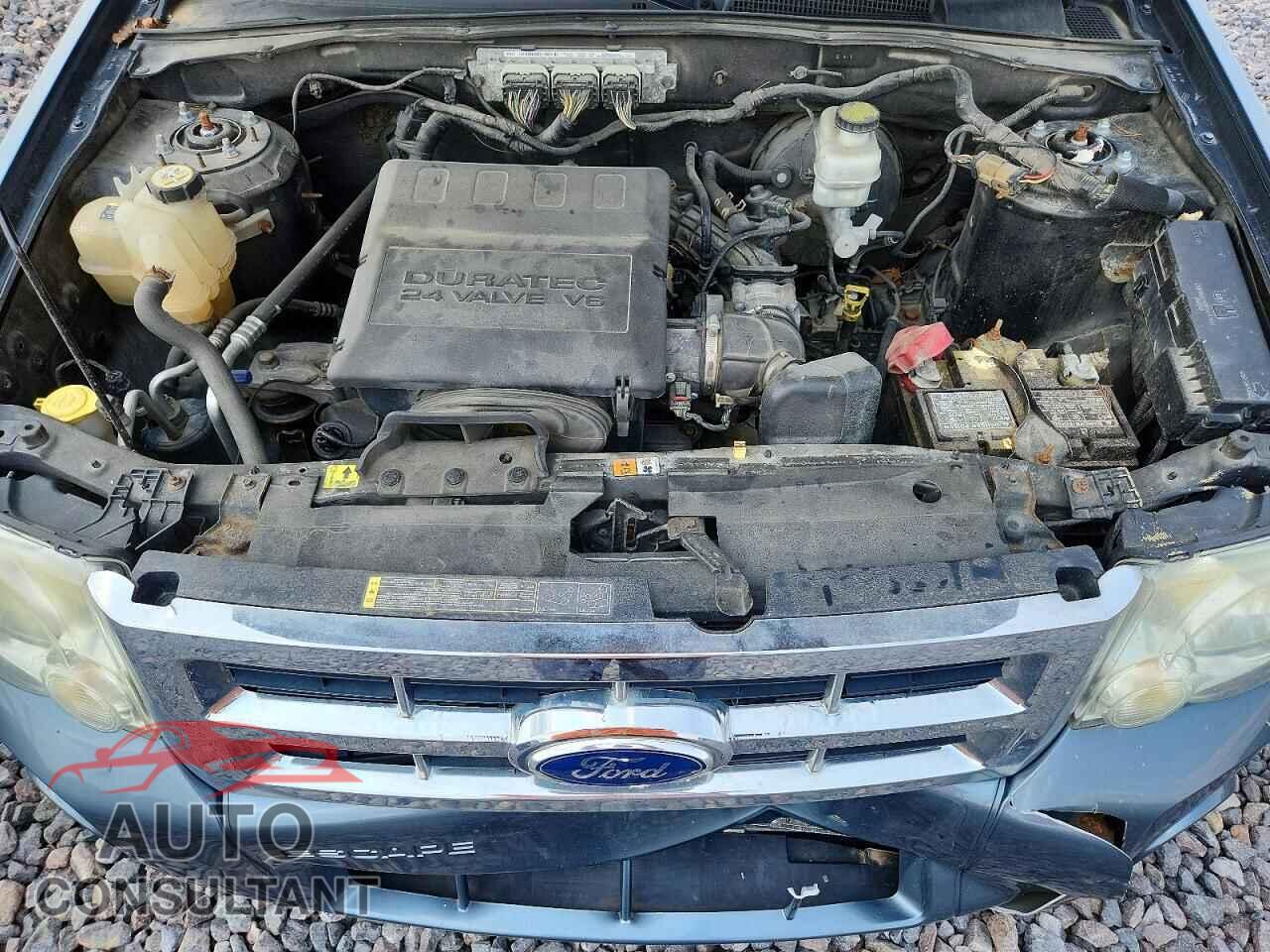 FORD ESCAPE 2011 - 1FMCU0DG2BKB89889