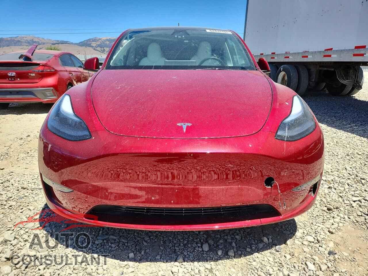 TESLA MODEL Y 2025 - 7SAYGDEE1SF286409