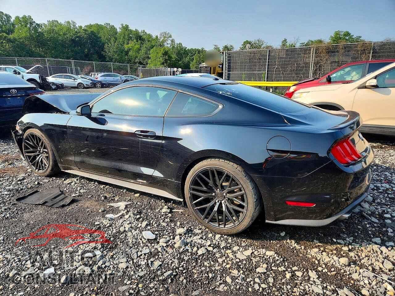 FORD MUSTANG 2019 - 1FA6P8TH2K5138043