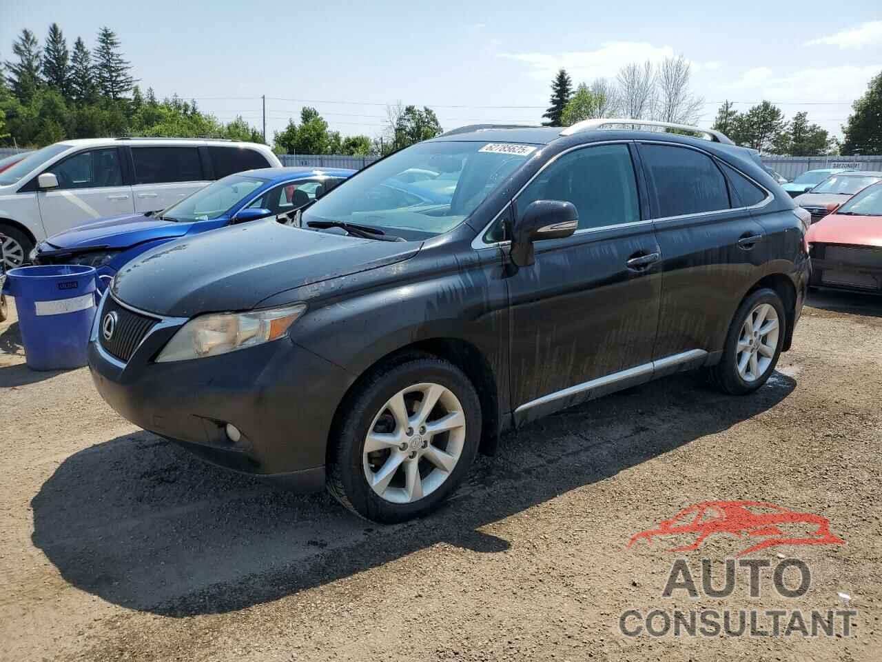 LEXUS RX350 2010 - 2T2BK1BAXAC025909