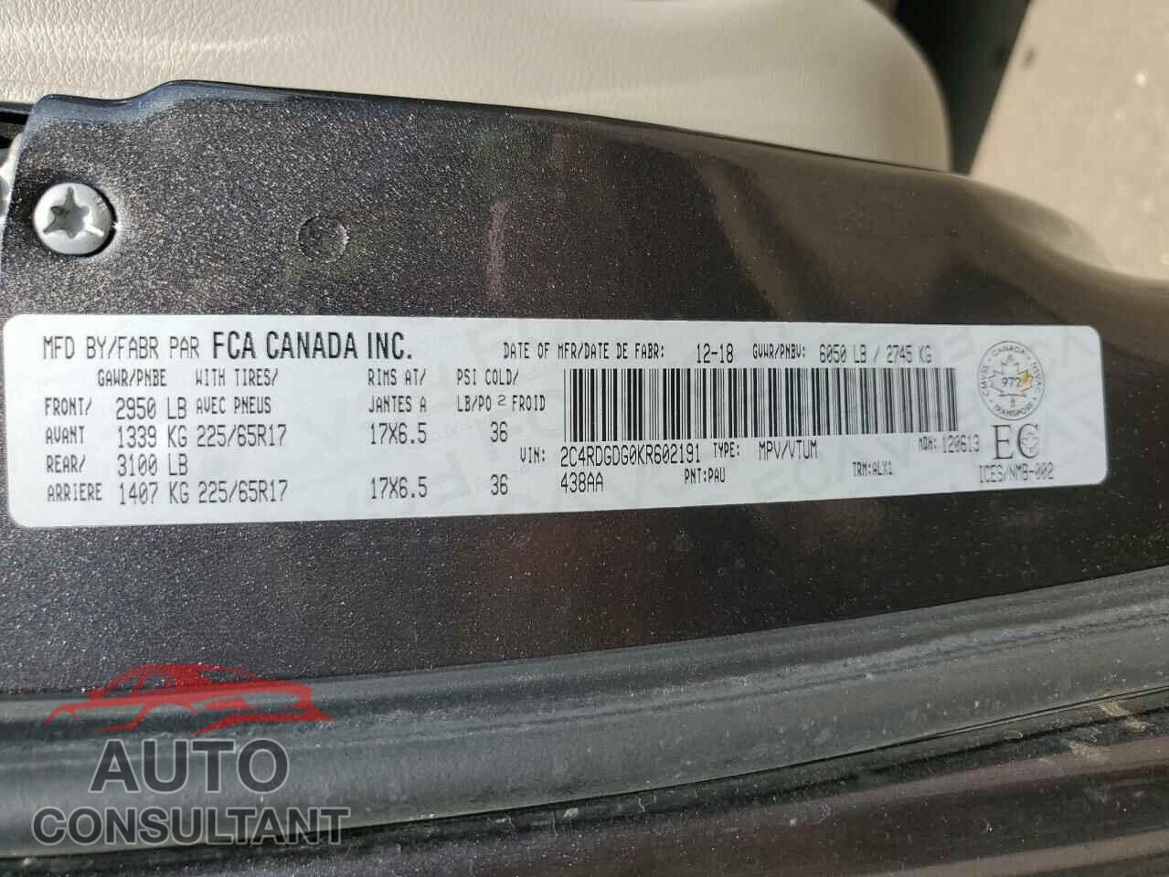 DODGE CARAVAN 2019 - 2C4RDGDG0KR602191
